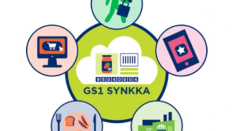 Synkka-palvelun graafi