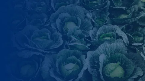 Food Data Finland Image